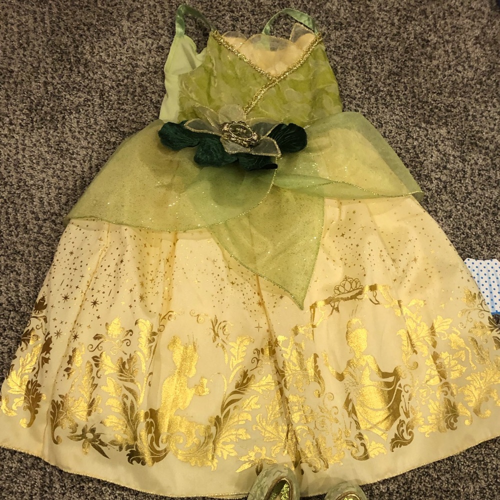 Disney Tiana Costume and Shoes